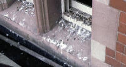 Fenstersims mit Spuren von Nagern und Vögeln